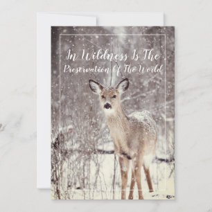 Cartes Pour Fêtes Annuelles Faune Cerf Dans La Neige Vacances D'Hiver
