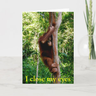 Cartes Pour Fêtes Annuelles Faune de Valentine
