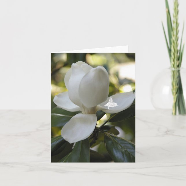Cartes Pour Fêtes Annuelles Fée Magnolia Shadow (Devant)