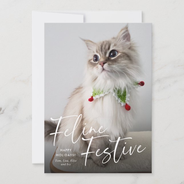 Cartes Pour Fêtes Annuelles Feline Festive Chat Photo Holiday (Devant)