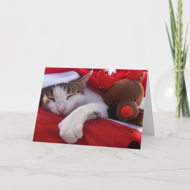 Cartes Pour Fêtes Annuelles Feliz Navidad (Devant)