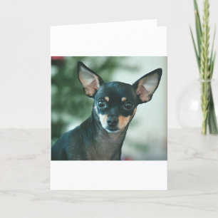 Cartes Pour Fêtes Annuelles Feliz Navidad