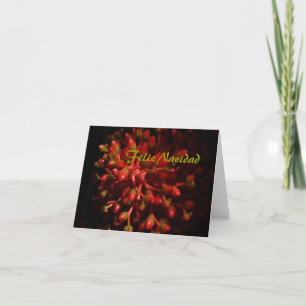 Cartes Pour Fêtes Annuelles Feliz Navidad