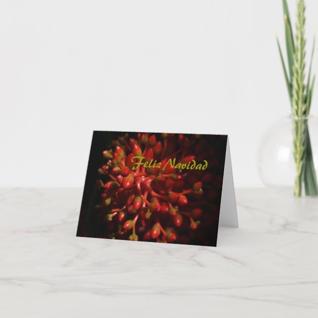 Cartes Pour Fêtes Annuelles Feliz Navidad (Devant)