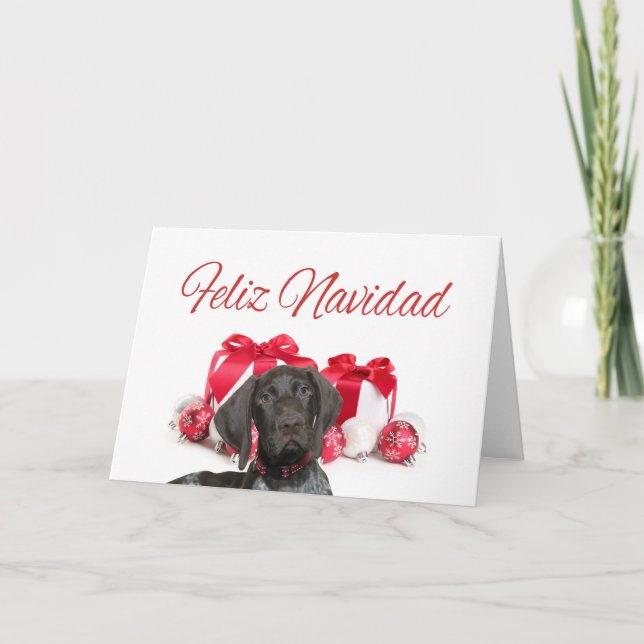 Cartes Pour Fêtes Annuelles Feliz Navidad (Devant)