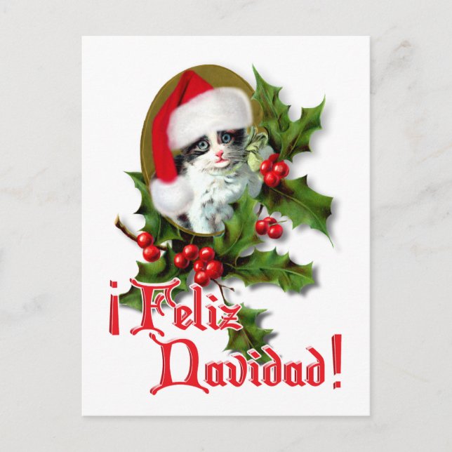 Cartes Pour Fêtes Annuelles Feliz Navidad - Christmas Kitten (Devant)