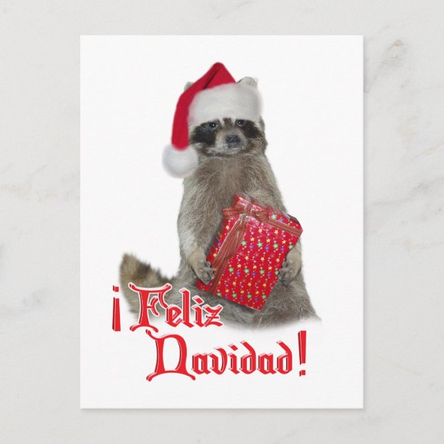 Cartes Pour Fêtes Annuelles Feliz Navidad - Christmas Raccoon Bandit (Devant)