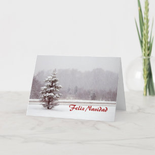 Cartes Pour Fêtes Annuelles Feliz Navidad Joyeux Noël en espagnol et la neige
