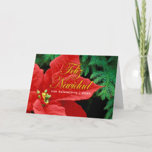 Cartes Pour Fêtes Annuelles Feliz Navidad - Red Poinsettia et Fir Bow