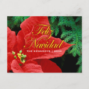 Cartes Pour Fêtes Annuelles Feliz Navidad - Red Poinsettia et Fir Bow