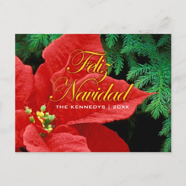 Cartes Pour Fêtes Annuelles Feliz Navidad - Red Poinsettia et Fir Bow (Devant)