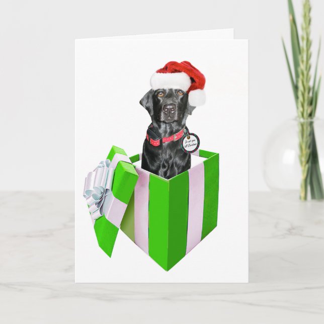 Cartes Pour Fêtes Annuelles Feliz Navidog (Devant)