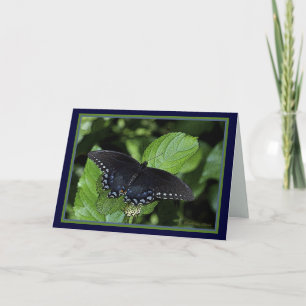 Cartes Pour Fêtes Annuelles Femelle Machaon-Noire de tigre oriental