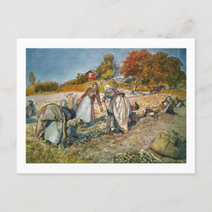 Cartes Pour Fêtes Annuelles Femmes creusant des pommes de terre