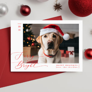 Cartes Pour Fêtes Annuelles Fer et brillant animal de compagnie drôle Chien ph