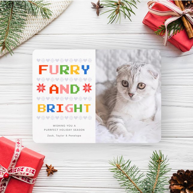 Cartes Pour Fêtes Annuelles Fer et brillant | Photo de chat de Noël (Créateur téléchargé)