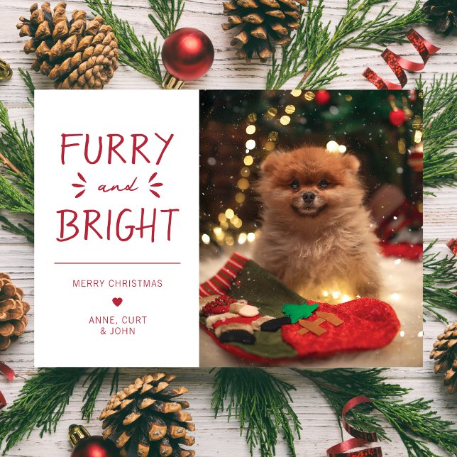 Cartes Pour Fêtes Annuelles Fer et lumière Pet Photo Noël Rouge (Créateur téléchargé)