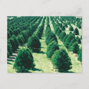 Cartes Pour Fêtes Annuelles Ferme de Noël