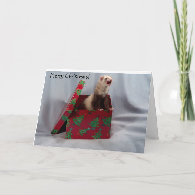 Cartes Pour Fêtes Annuelles Ferret Christmas Card (Devant)