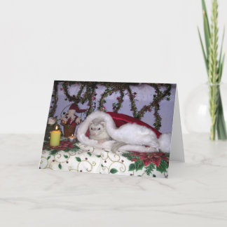 Cartes Pour Fêtes Annuelles Ferret de Noël