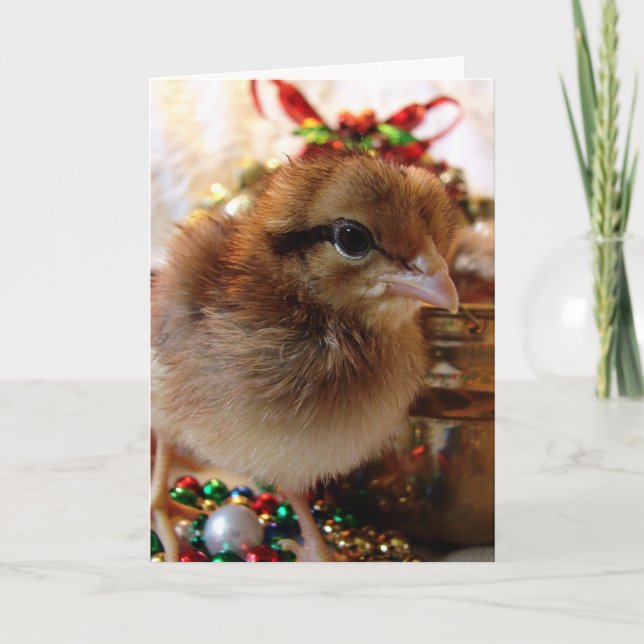 Cartes Pour Fêtes Annuelles Festif Chick de Noël (Devant)