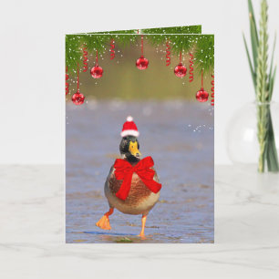Cartes Pour Fêtes Annuelles Festif Fun Mallard Canard Noël