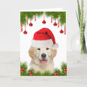 Cartes Pour Fêtes Annuelles Festif Golden Retriever mignon Noël