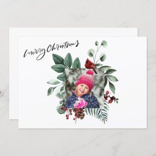 Cartes Pour Fêtes Annuelles Festif Green Foliage Eucalyptus Red Cardinal Bird