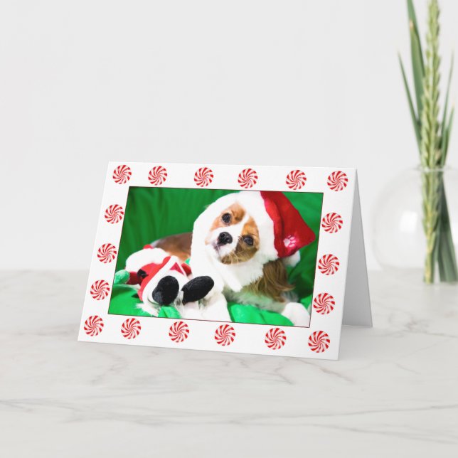 Cartes Pour Fêtes Annuelles Festif Noël Cavalier King Charles Puppy Card (Devant)