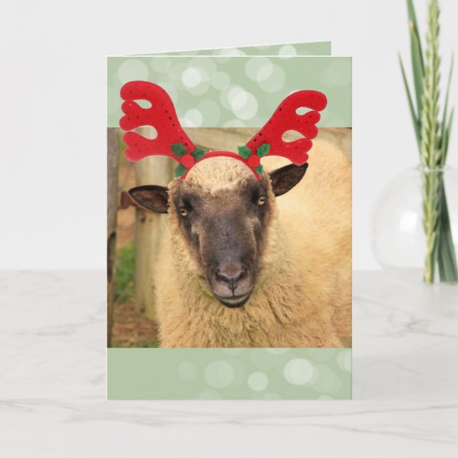 Cartes Pour Fêtes Annuelles Festif Reindeer Sheep Noël (Devant)