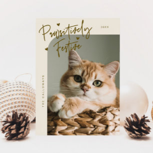 Cartes Pour Fêtes Annuelles Festive de façon pédestre Chat Photo Crème Noël