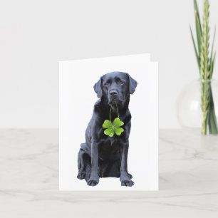 Cartes Pour Fêtes Annuelles Fête de la St.Patrick du Labrador Retriever