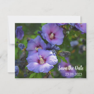 Cartes Pour Fêtes Annuelles Fête de l'Hibiscus violet Enregistrer la date