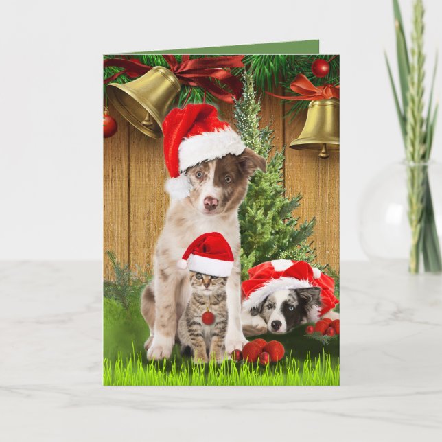 Cartes Pour Fêtes Annuelles Fête de Noël avec les amoureux des animaux (Devant)