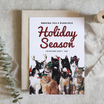 Cartes Pour Fêtes Annuelles Fête de Noël des Chats d'aquarelle<br><div class="desc">Envoyez vos voeux de vacances avec cette carte postale de vacances sur le thème du chat. Il abrite un adorable groupe de chats aux casquettes festifs. Personnalisez en ajoutant des noms, une année, un message et une photo. Cette carte postale de vacances est parfaite pour les amoureux de les chats....</div>
