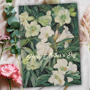 Cartes Pour Fêtes Annuelles Fête des Mères Blanc Floral