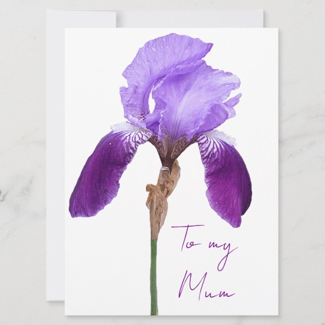 Cartes Pour Fêtes Annuelles Fête des Mères Élégante iris violet boho floral (Devant)