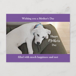 Cartes Pour Fêtes Annuelles Fête des mères mignonne Fatigué Chien Chien Chien