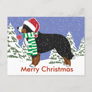 Cartes Pour Fêtes Annuelles Fêtes Bernese Mountain Dog Noël