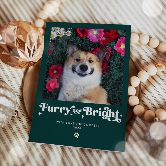 Cartes Pour Fêtes Annuelles Feu et Chien brillant Photo Drôle Noël (Créateur téléchargé)