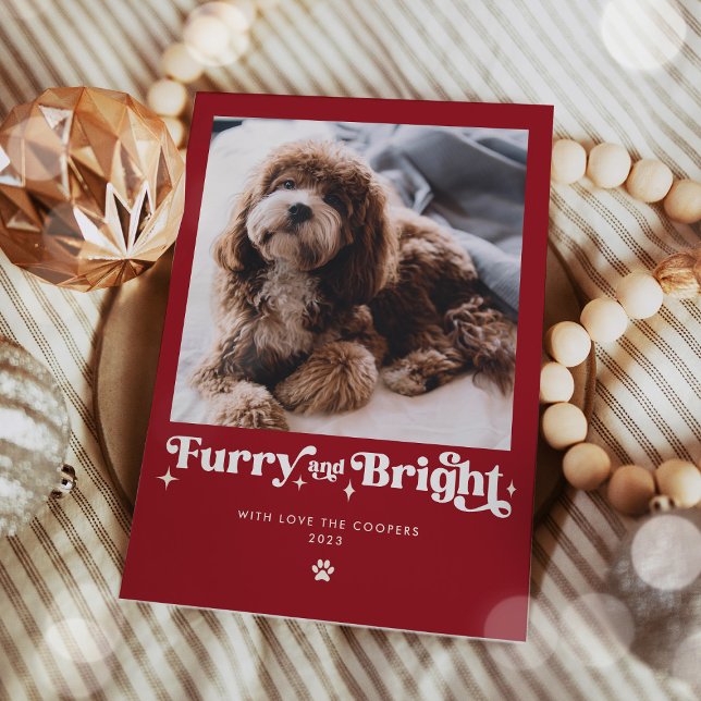 Cartes Pour Fêtes Annuelles Feu et Chien brillant Photo Drôle Noël (Créateur téléchargé)