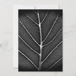 Cartes Pour Fêtes Annuelles Feuille lumineuse noir et blanc en gros plan