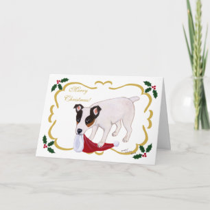 Cartes Pour Fêtes Annuelles Feuille saint de Noël de Jack Russell Terrier