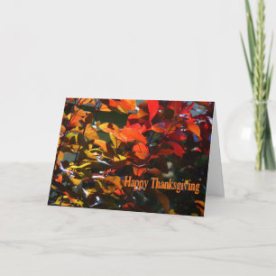 Cartes Pour Fêtes Annuelles Feuilles bon thanksgiving-automne