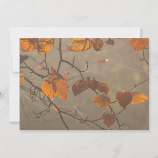 Cartes Pour Fêtes Annuelles Feuilles d'automne
