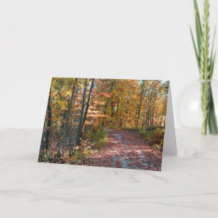 Cartes Pour Fêtes Annuelles Feuilles d'automne, chemin dans les bois, paysage 