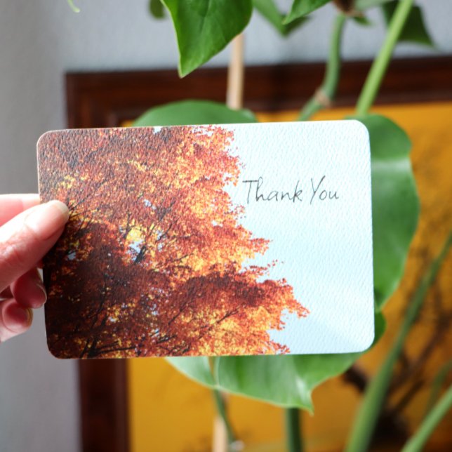 Cartes Pour Fêtes Annuelles Feuilles de l'érable d'automne (Créateur téléchargé)