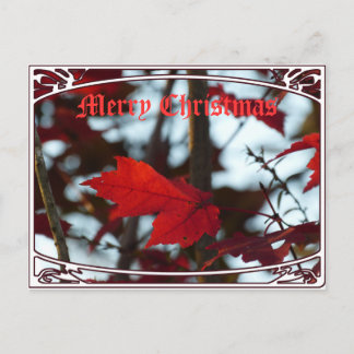 Cartes Pour Fêtes Annuelles Feuilles de vacances