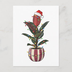 Cartes Pour Fêtes Annuelles Ficus Caoutchouc Chapeau de Père Noël Lumières de