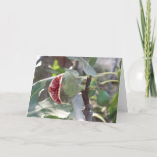 Cartes Pour Fêtes Annuelles Figue ouverte sur l'arbre en Espagne